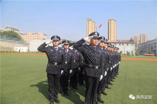 图片10_副本.png