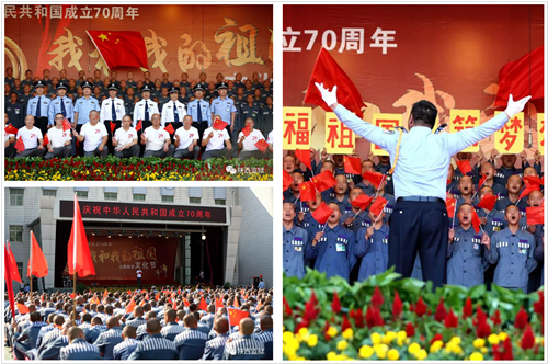 图片31_副本.png