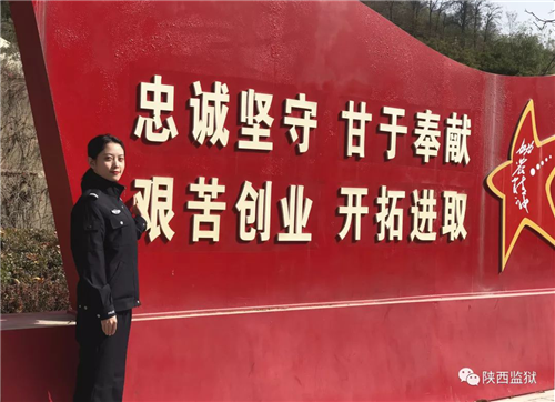 图片8_副本.png