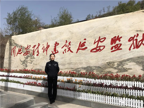 图片10_副本.png