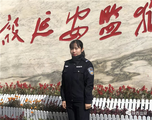 图片12_副本.png