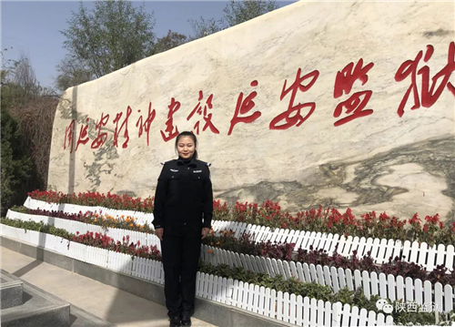 图片13_副本.png
