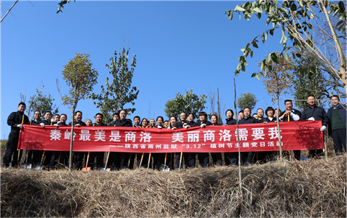 图片11_副本.png