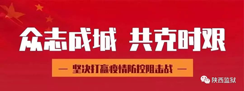 图片4_副本.png