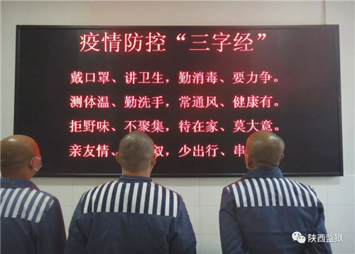 图片16_副本.png