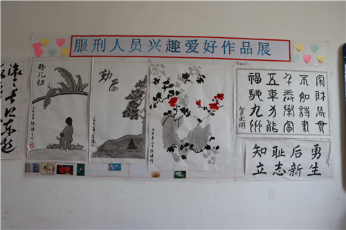 图片5_副本.png