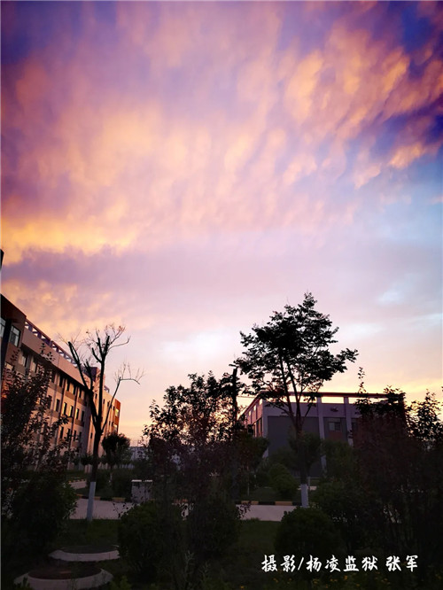 640.webp (10).jpg