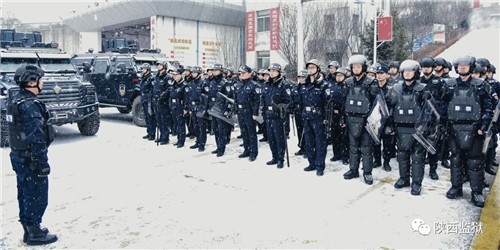 640.webp (9)_副本.jpg