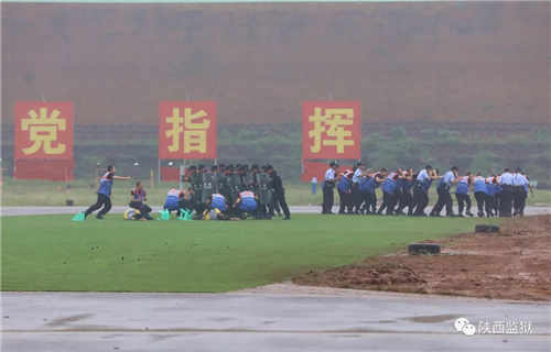 图片3_副本.png