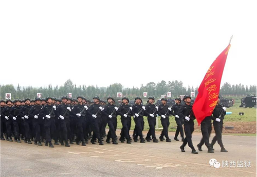 图片2_副本.png